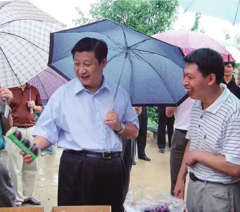 2024澳门开门奖结果